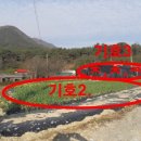 청광식물원 네이버블로그