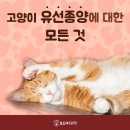 형곡동물병원 이미지