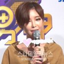 미쓰가인