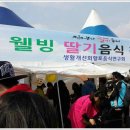 스토리가 있는 `논산딸기축제`...논산딸기 유명한 이유가 있네 이미지