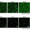 주식회사엘앤씨바이오 이미지