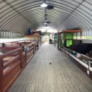 봄농장 | [할아버지동물농장 총 정리]유아체험형 동물농장 추천, 아기랑 봄,가을나들이장소추천(두 번 방문 후기)