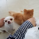 호텔욜로 이미지