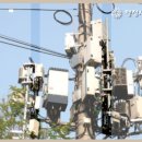 행정사법인 온빛 이미지