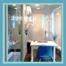 에이치동물메디컬센터 이미지