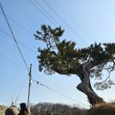 [DMZ 평화의 길 6코스] 봄 트레킹 걷기여행 (10.9km, 4시간)
