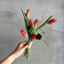 w.2 대구 일라이스튜디오 촬영후기 / 리리 에 플뢰르 생화 부케 선정 및 꼼나나 브라이드 메이크업...