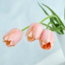 왕초보 일본어 네이버블로그