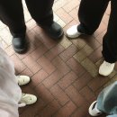 시스터 쿠키