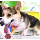 마리살롱 이미지