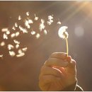 모아사랑공인중개사사무소 이미지