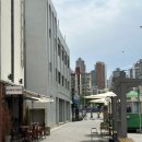 부산 실내 애견동반카페 올어바웃커피바 상주견 있음 🧡