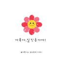 미스터홈즈부동산중개춘천시청센터 | 일직동 광명시 이케아 부동산 미스터홈즈 일직동부동산 광명미스터홈즈