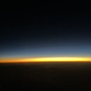 킹콩아쿠아 이미지