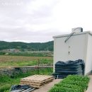 박순덕농장 Daum카페