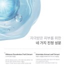 애프터메디 네이버블로그