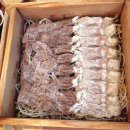 음로바다야끼 | 나혼자산다 성훈이 찾은 힐링 맛집_음 로바다야끼 방문후기