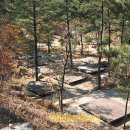 낙안민속자연휴양림 이미지