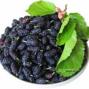 오디한의원 이미지