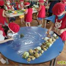 LG유치원 이미지