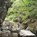 삼둔사가리 이미지