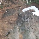 유신주유소 이미지