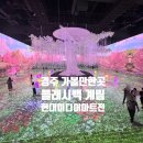 경주 여행, 경주 미디어아트 전시, 플래시백 계림 후기, 내돈내산 리뷰