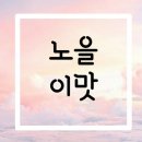 토이스토리 성정점 | 다이소 발매트 - 노을이 픽은?