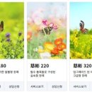 가족사랑 장례토탈서비스 이미지