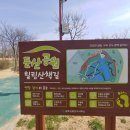 둔산스포츠