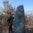 시미2리 Daum카페