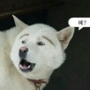 라인인테리어 네이버블로그