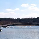 신대호수 이미지