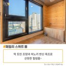 어반이스트 호텔 Daum카페
