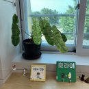 (주)육팔