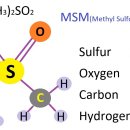 MSM(Methyl Sulfonyl Methane)과 코엔자임 A 이미지