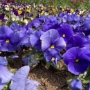 원신근린공원 이미지