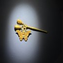 UR(제주시)-[일주동로]-하-17 | [전시] 제주에 나빌레라-광복 80주년 기념 석주명 특별전 나비박사 석주명을 만나다