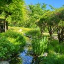 동해무릉건강숲 이미지