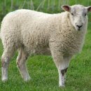 수야공인중개사사무소 이미지