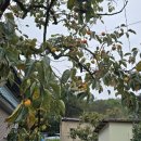 수곡면사무소 이미지