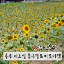 쏠레마켓 네이버블로그