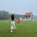 헬로슈슈 | 제주풍선 선물 슈슈떼파티 제주공항근처 스냅촬영소품 프로포즈 생일파티 웨딩촬영 맞춤제작