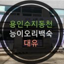 수지로489번길 | 용인/수지 동천역맛집 : 대유 (능이오리백숙)