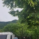 금광이용원 | 여덟 번 째 캠핑 / 칠갑산 오토캠핑장 / 백제문화체험 박물관 / 2020. 5. 16~ 5. 17 / 또!! 늦은 후기