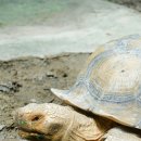 잠실피트니스 이미지