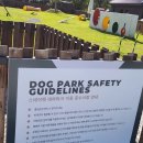 펫펜션 휴 이미지