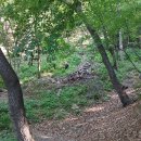 천마산관리사무소