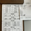 부산 하단 맛집 고래섬 본점, 낙곱새 원조 제대로 맛보고 왔어요!