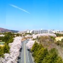 (주)이랜드파크켄싱턴리조트충주 이미지